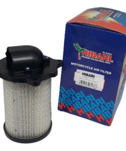 Filtro De Aire Suzuki Gs 150 R